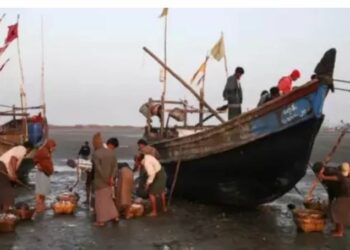 Fundoset anija me emigrantë, 17 viktima