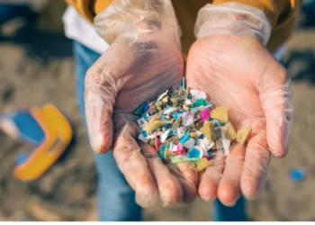 E pabesueshme/ Mikroplastika gjendet në zemrën e njeriut –