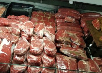 Mishi/ Të dhënat s’janë pozitive për Shqipërinë, të fundit për… –