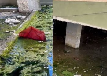 Pallati përmbytet nga ujërat e zeza/ Banorët: S’kemi ku ankohemi –