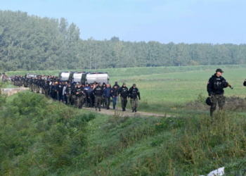 Me municion dhe armë, kapen 200 emigrantë në Serbi –