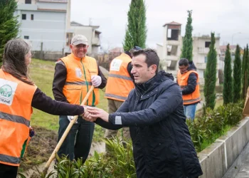 Si mashtroi Veliaj me parametrat në projektin e pyllit orbital –