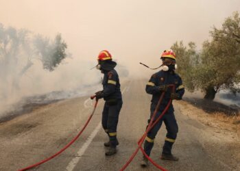 Zjarret në Greqi, gjenden trupat e 18 personave –