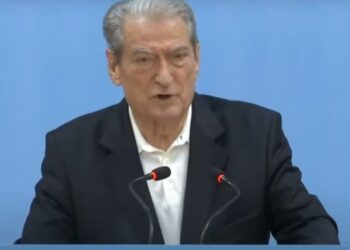 Berisha publikon videon e masakrës mjedisore –