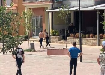 Sherr në Bulqizë/ Një i ri sulmon qytetarët, Policia e neutralizon –