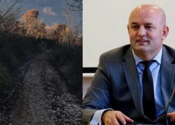 Biznesmeni i lidhur me banda merr 717 mln pa garë nga Mariglen Disha –