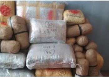 Aktiviteti i rrjeteve shqiptare të drogës mbetet i lartë në Greqi –