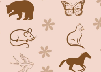 Test personaliteti, zgjidhni një figurë për të mësuar fuqinë tuaj –