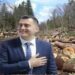 Gledjan Llatja xhiron 250 MLN lekë pa garë tek oligarkët e pyjeve –