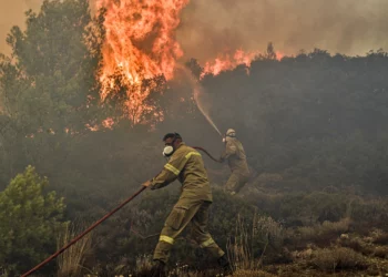 Lufta me zjarret në Greqi, humbin jetën emigranti dhe bariu (Video) –