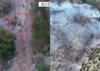 Dogjën dhjetëra hektarë me pyje, dy të arrestuar në Himarë –