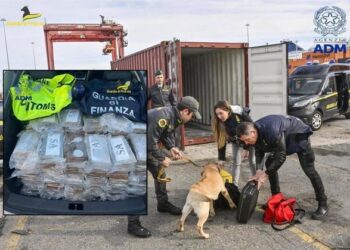 Sekuestrohet droga me vlerë 35 mln euro, arrestohet 1 shqiptar –