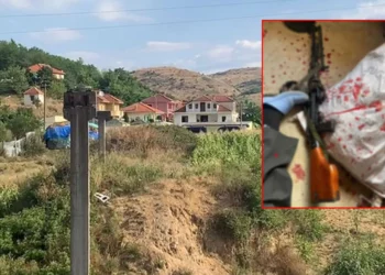 U ekzekutua nga RENEA, Ramiz Muçollari kishte qenë dje në Psikiatri –