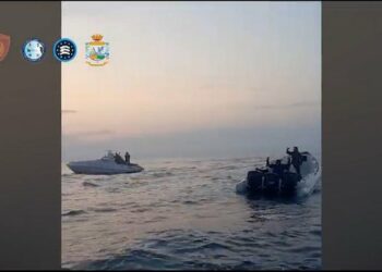 Megaoperacioni antidrogë, ish-policit iu gjetën 10 mln lekë –