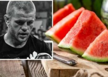 Zbardhet shkaku, kampioni i MMA vdiq nga shalqini –