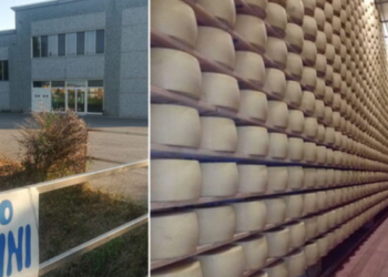 Rrotat e djathit e zënë poshtë 75-vjeçarin, vdes pronari –