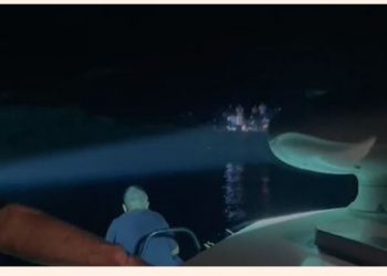 Turistja ngec në shpellë në Karaburun, shpëtohet nga policia –