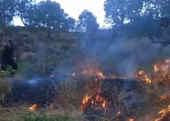 Shuhet pas 6 orësh zjarri në Labovë të Gjirokastrës, rrezikoi banesat –