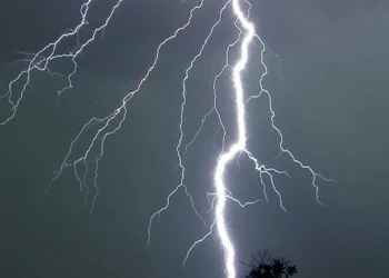 Rrufeja godet tufën e bagëtive në Gramsh, shpëton bariu –