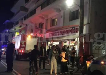 “Thërriste për ndihmë…”, tmerri i vajzës kur pa nënën e copëtuar –