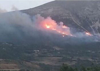 Vijon zjarri në Pishporo, 8 zjarrfikëse punojnë për shuarjen –