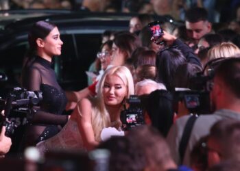 Nga incidenti i Sara Hoxhës, te Deamishel, çfarë nuk u pa mbi –