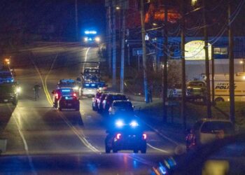 Vrau 18 persona në SHBA, gjendet i vdekur agresori. Ja çfarë dyshohet –