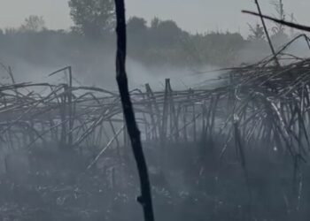 Aktivizohen tre vatra zjarri në Marinzë, rrezikohen banesat pranë –