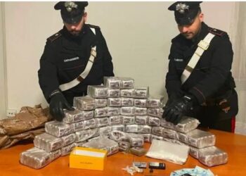 Arrestohet i riu shqiptar në Itali, policia i sekuestron 30 kg drogë –