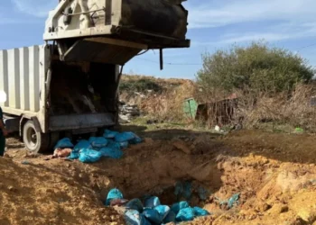 Asgjësohen rreth 2000 kg mish me afat të skaduar –