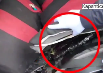 Pamjet nga aksioni në Kapshticë, ja ku ishin fshehur armët (VIDEO) –