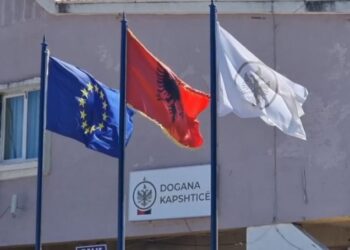 3 automatikë dhe 1 pistoletë në makinë, një i arrestuar në Kapshticë –