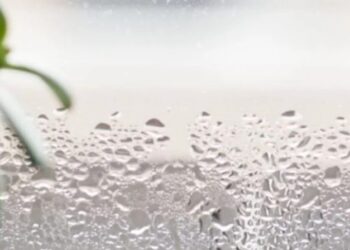 Si të zhdukni përgjithmonë lagështirën nga banesa juaj