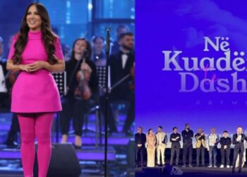 Pse mungoi Arbana në filmin e Luizit?! –