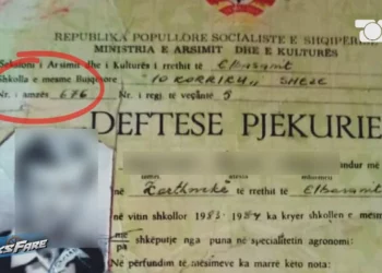Regjistrit i kanë grisur fletën, qytetari ngelet pa shkollë të mesme –