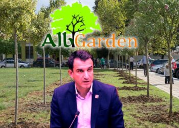 Denoncoi tenderët e pemëve të Veliajt, ja hakmarrja e kryebashkiakut ndaj Pjetër Trashajt t –