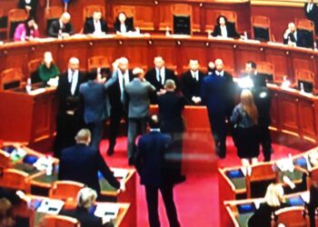 Tensione në Kuvend, përplasje fizike mes Nallbabit dhe Sinës –