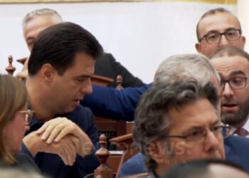 Kë njihni si kryetar të Grupit Parlamentar të PD? Ja ç’thotë deputetja e PS –