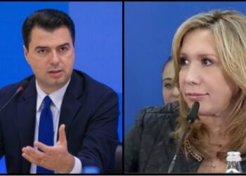 Koalicion me Bashën, ja çfarë do synojmë –