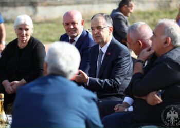 Meritoni vëmendje më të madhe –