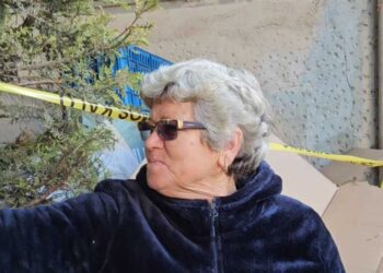 Erdhi me vrap dhe e goditi gruan –