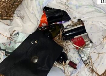 Arrestohen hajdutët serialë në Divjakë, dhunuan të moshuarën