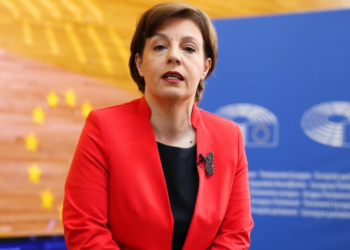 Deklarata e Macronit për vizat, Gërvalla: U interpretua gabim –