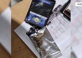 Me armë sportive dhe kanabis, arrestohen 2 francezë në Durrës –