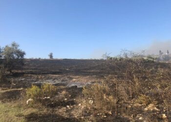 U nis për mbeturina por dogji 22 hektarë tokë në Fier, arrestohet –