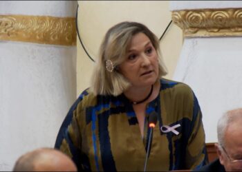 Po e bëjnë 2 B të tërbuar dhe një B i vaksinuar –