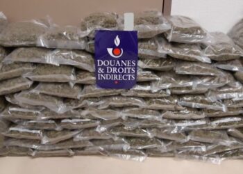 430 kg marijuanë mes shalqinjve dhe pjeprave, 4 shqiptarë në pranga –