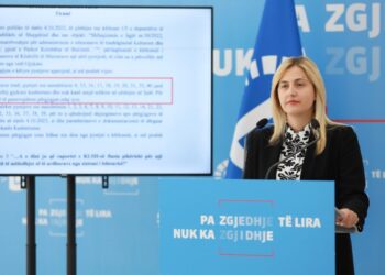 Koncesioni nuk e mbron trashëgiminë –