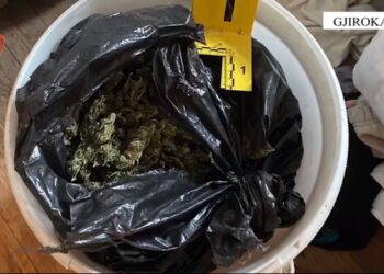 I gjenden 3 kg kanabis në banesë, arrestohet 65 vjeçari –