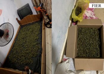 E kishte vënë kanabisin për t’u tharë, arrestohet 43 vjeçari në Fier –